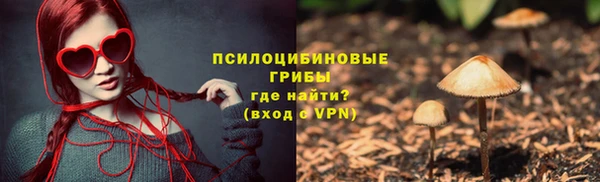 mix Гусев