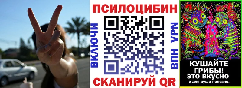 Галлюциногенные грибы Psilocybe  Королёв 